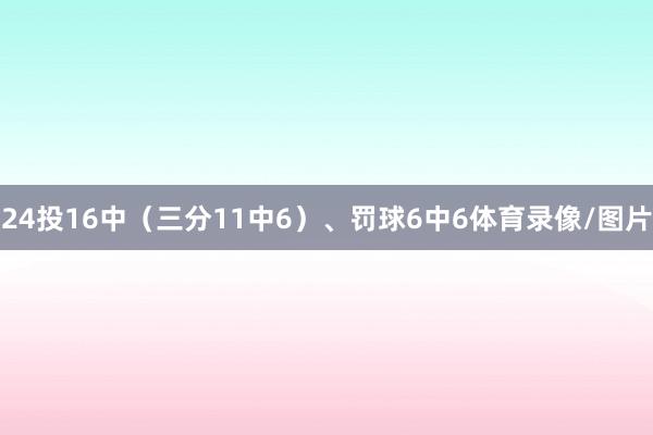24投16中（三分11中6）、罚球6中6体育录像/图片