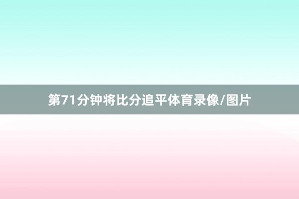 第71分钟将比分追平体育录像/图片