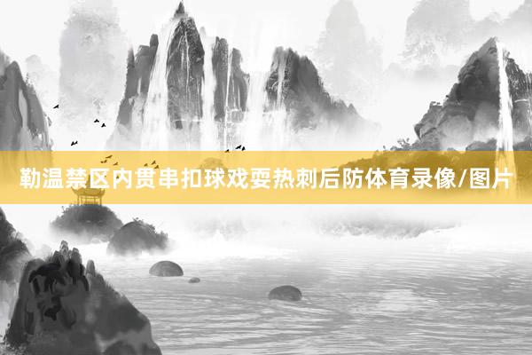 勒温禁区内贯串扣球戏耍热刺后防体育录像/图片