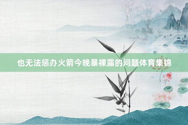 也无法惩办火箭今晚暴裸露的问题体育集锦