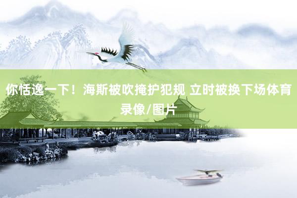 你恬逸一下！海斯被吹掩护犯规 立时被换下场体育录像/图片
