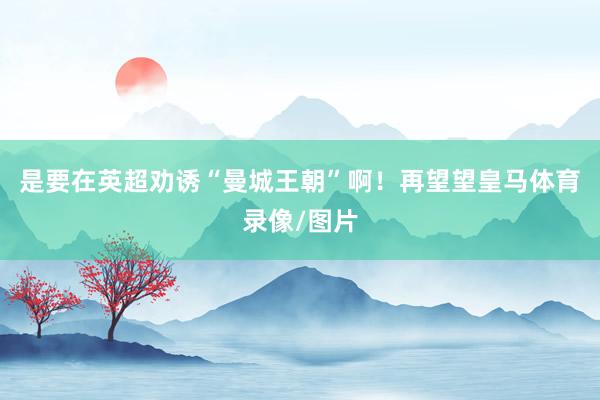 是要在英超劝诱“曼城王朝”啊！再望望皇马体育录像/图片
