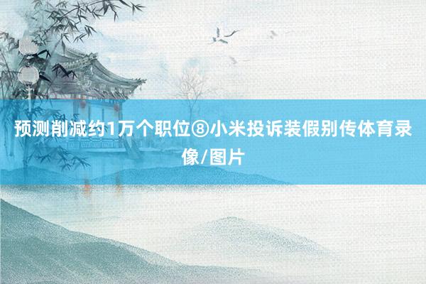 预测削减约1万个职位⑧小米投诉装假别传体育录像/图片