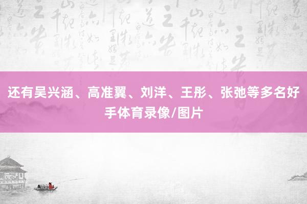 还有吴兴涵、高准翼、刘洋、王彤、张弛等多名好手体育录像/图片