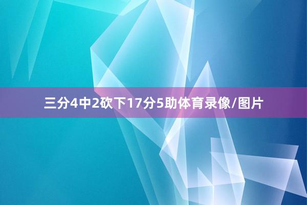 三分4中2砍下17分5助体育录像/图片