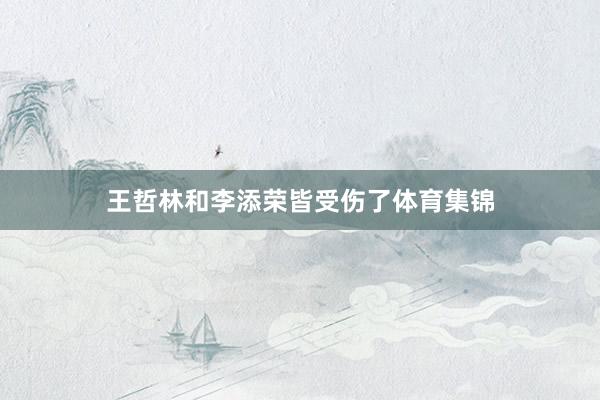 王哲林和李添荣皆受伤了体育集锦