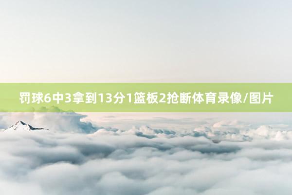 罚球6中3拿到13分1篮板2抢断体育录像/图片