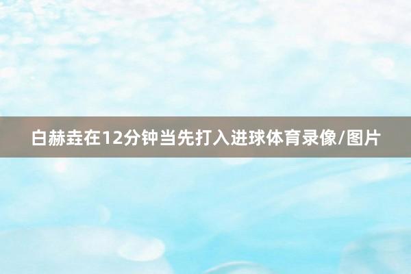 白赫垚在12分钟当先打入进球体育录像/图片