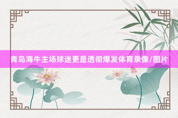 青岛海牛主场球迷更是透彻爆发体育录像/图片