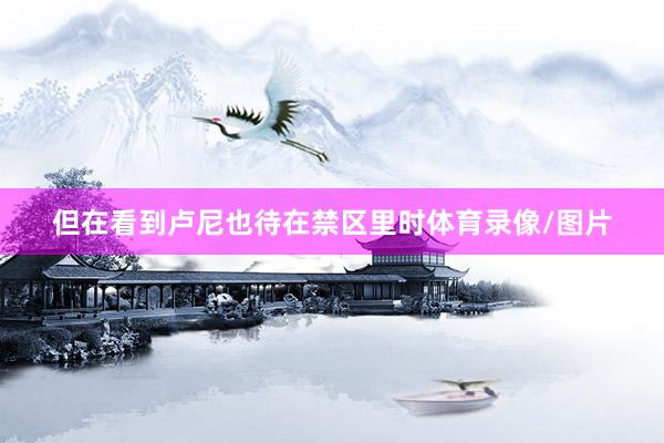 但在看到卢尼也待在禁区里时体育录像/图片