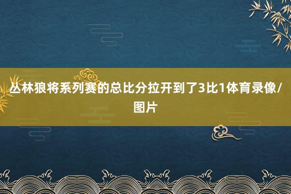 丛林狼将系列赛的总比分拉开到了3比1体育录像/图片