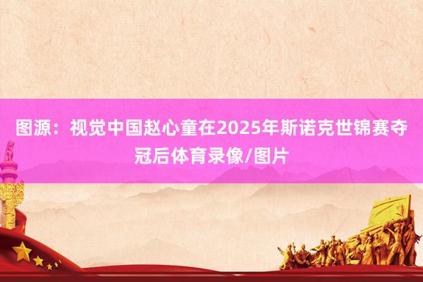 图源：视觉中国赵心童在2025年斯诺克世锦赛夺冠后体育录像/图片
