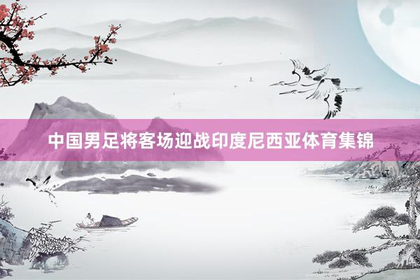 中国男足将客场迎战印度尼西亚体育集锦