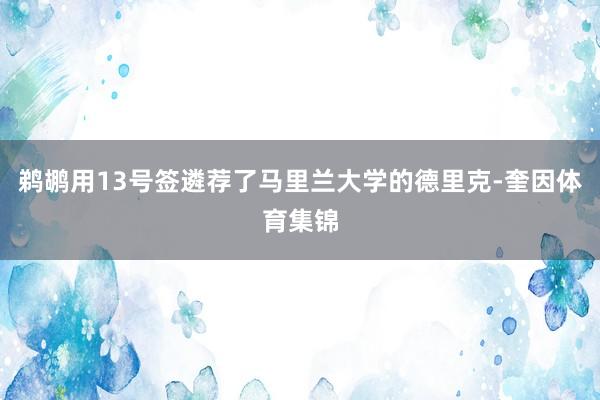 鹈鹕用13号签遴荐了马里兰大学的德里克-奎因体育集锦