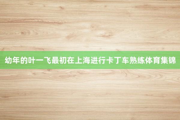 幼年的叶一飞最初在上海进行卡丁车熟练体育集锦