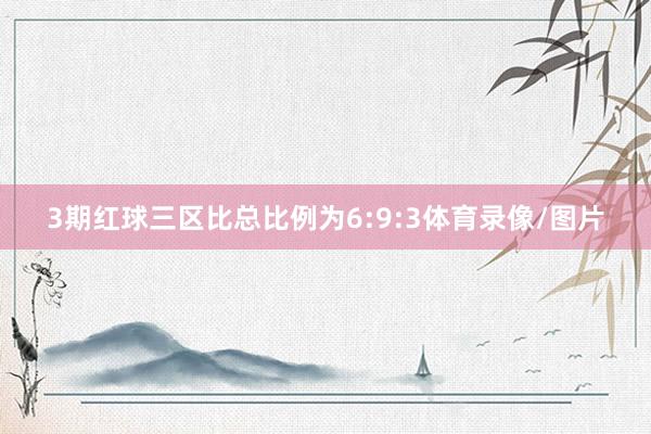 3期红球三区比总比例为6:9:3体育录像/图片