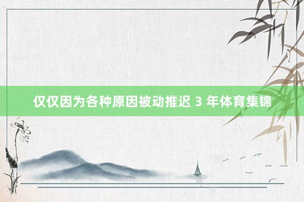 仅仅因为各种原因被动推迟 3 年体育集锦