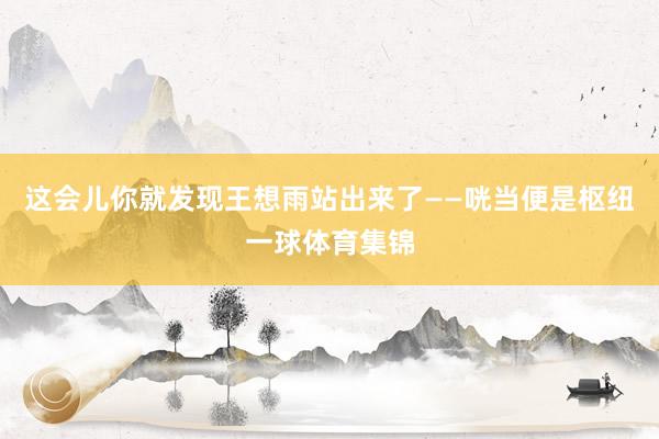 这会儿你就发现王想雨站出来了——咣当便是枢纽一球体育集锦