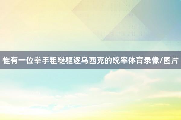惟有一位拳手粗糙驱逐乌西克的统率体育录像/图片