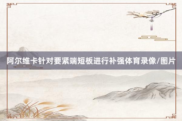 阿尔维卡针对要紧端短板进行补强体育录像/图片