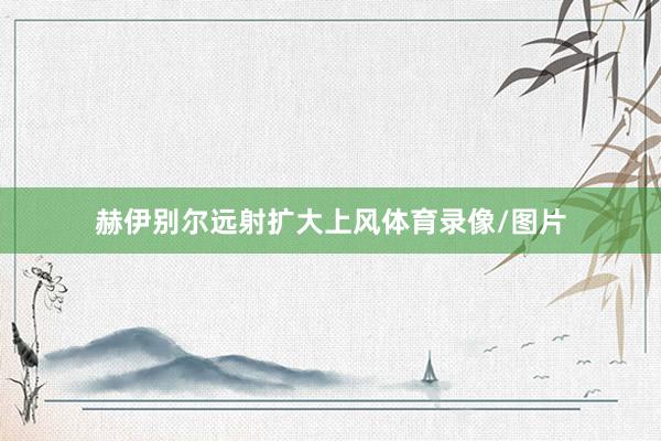 赫伊别尔远射扩大上风体育录像/图片