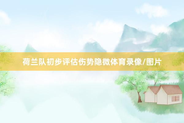 荷兰队初步评估伤势隐微体育录像/图片