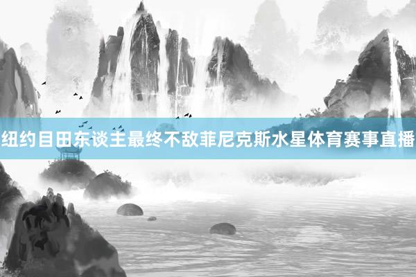 纽约目田东谈主最终不敌菲尼克斯水星体育赛事直播