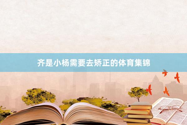 齐是小杨需要去矫正的体育集锦