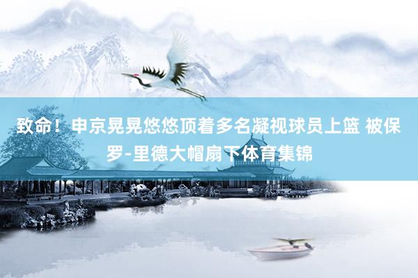 致命！申京晃晃悠悠顶着多名凝视球员上篮 被保罗-里德大帽扇下体育集锦