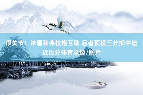 很关节！浓眉和弗拉格互助 后者顶投三分掷中迫近比分体育录像/图片
