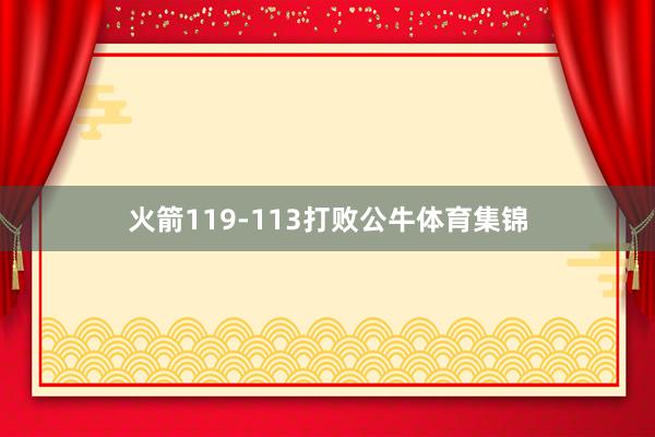火箭119-113打败公牛体育集锦