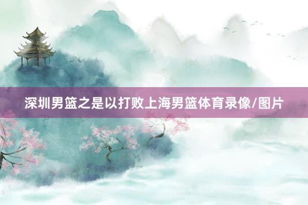 深圳男篮之是以打败上海男篮体育录像/图片