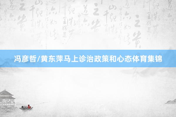 冯彦哲/黄东萍马上诊治政策和心态体育集锦