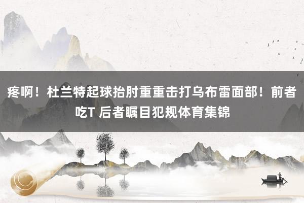 疼啊！杜兰特起球抬肘重重击打乌布雷面部！前者吃T 后者瞩目犯规体育集锦