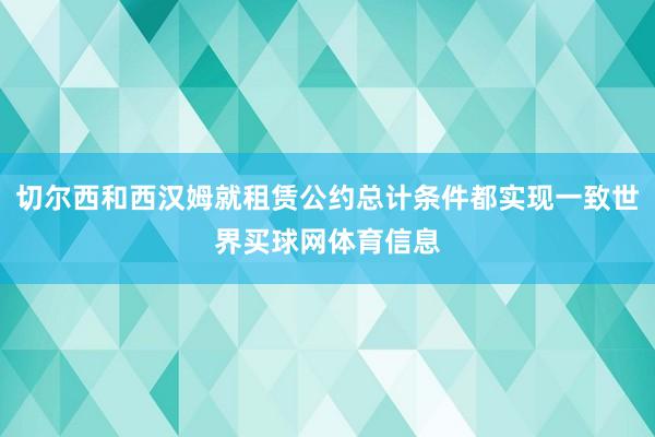 切尔西和西汉姆就租赁公约总计条件都实现一致世界买球网体育信息