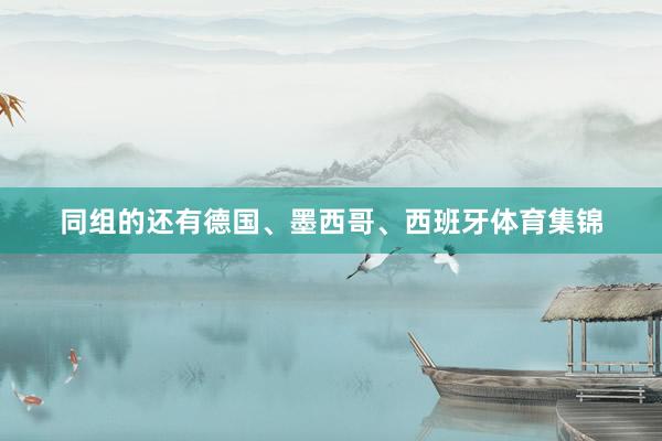 同组的还有德国、墨西哥、西班牙体育集锦