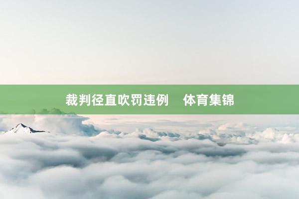 裁判径直吹罚违例    体育集锦