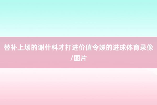 替补上场的谢什科才打进价值令嫒的进球体育录像/图片
