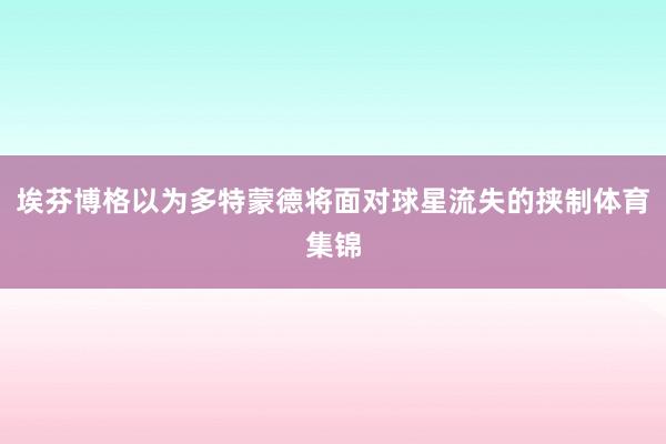 埃芬博格以为多特蒙德将面对球星流失的挟制体育集锦