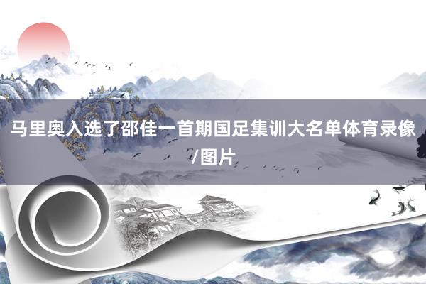 马里奥入选了邵佳一首期国足集训大名单体育录像/图片