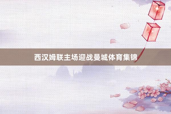 西汉姆联主场迎战曼城体育集锦