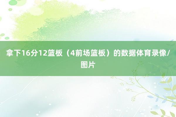 拿下16分12篮板（4前场篮板）的数据体育录像/图片