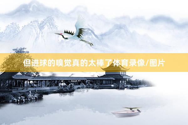 但进球的嗅觉真的太棒了体育录像/图片