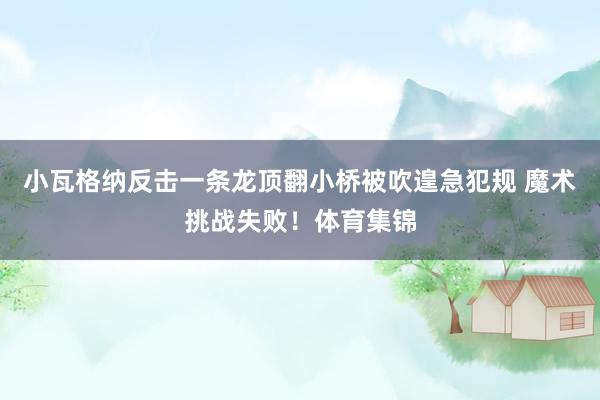 小瓦格纳反击一条龙顶翻小桥被吹遑急犯规 魔术挑战失败！体育集锦