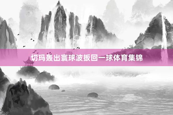切玛轰出寰球波扳回一球体育集锦