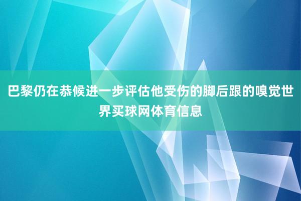 巴黎仍在恭候进一步评估他受伤的脚后跟的嗅觉世界买球网体育信息