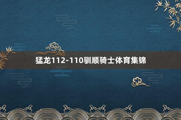 猛龙112-110驯顺骑士体育集锦