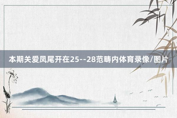 本期关爱凤尾开在25--28范畴内体育录像/图片