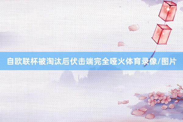自欧联杯被淘汰后伏击端完全哑火体育录像/图片