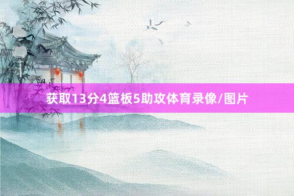获取13分4篮板5助攻体育录像/图片